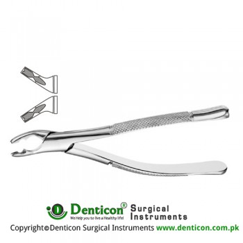 American Pattern Tooth Extracting Forcep Fig. 150AS (For Upper Incisors, Canines, Premolars; Split Beaks) Stainless Steel, Standard